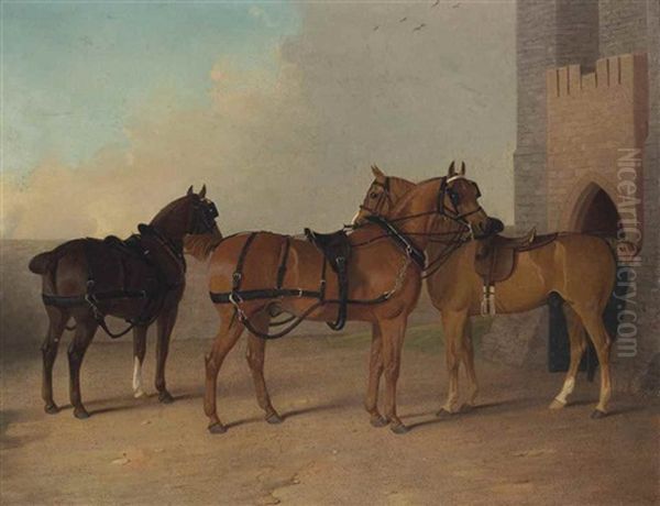 Deux Chevaux D'attelage Et Un Hunter Harnaches Devant Un Chateau - view 1
