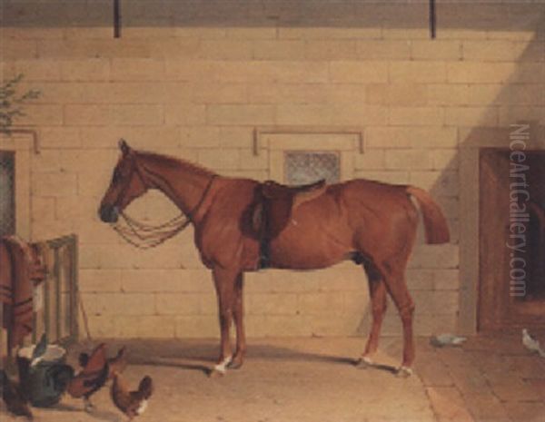 Saddled Up - view 1