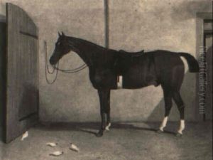 Saddled Up by Robert Harrington