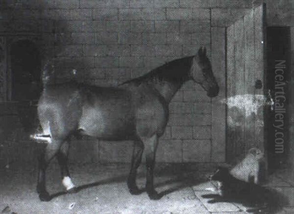 A Bay Horse With Two Dogs In A Yard - view 1