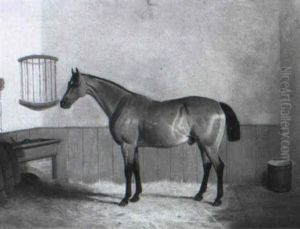 Brauner Im Stall by Robert Harrington
