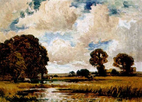 Sommerliche Weidelandschaft - view 1
