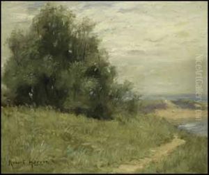 The Shore At Cape Cod