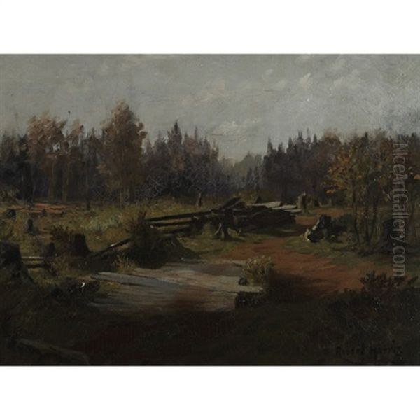 Split Rail Fence - view 1