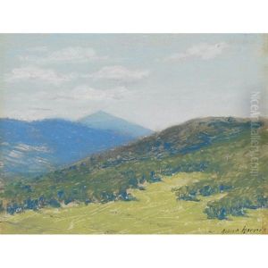 Mt. Harrison, Glenmore, N.y., Adirondacks