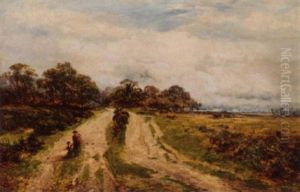 A Broken Path, Sutton Park, Warwickshire