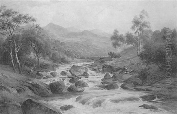 Fishing For Trout - view 1