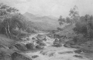 Fishing For Trout