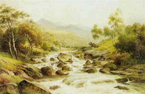 Fishing In Rapids - view 1