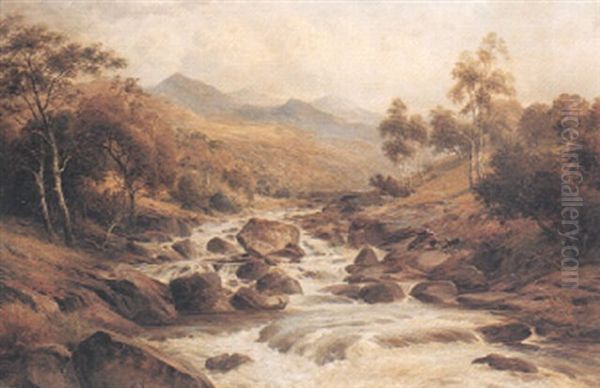 Trout Stream - view 1