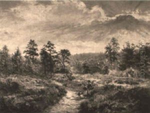 Sunlight Effect On The Tickay Hills