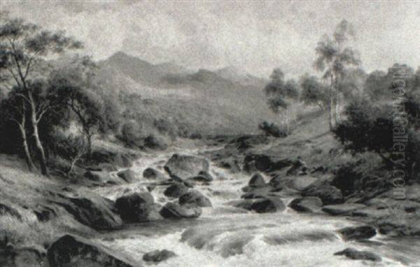 Trout On Stream - view 1