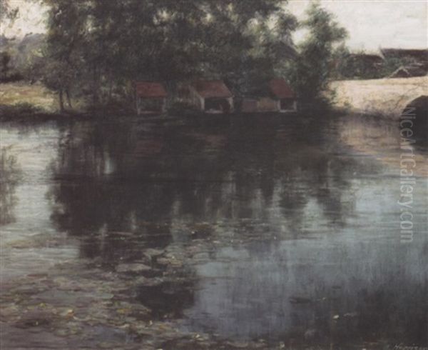 The Lower River - view 1