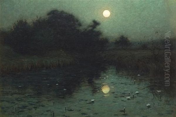 Moonlight Over A Pond - view 1