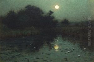 Moonlight Over A Pond Moonlight Over A Pond