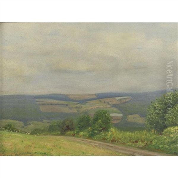 Meadow In Connecticut - view 1
