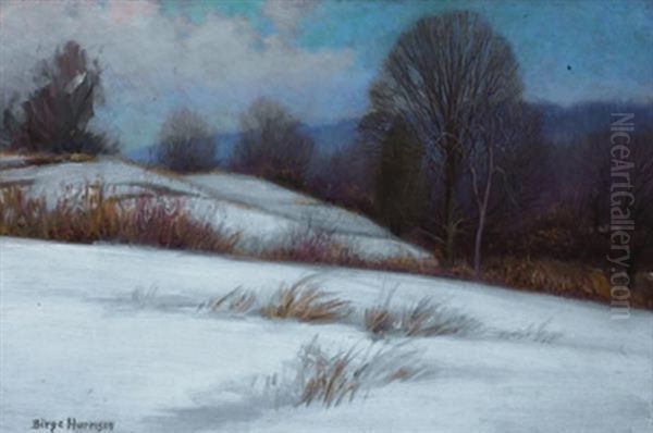 Winter Fields - view 1