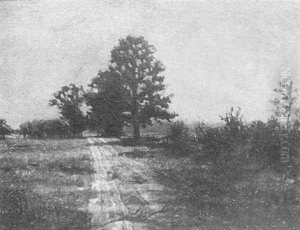 Moonlight Meadow - view 1