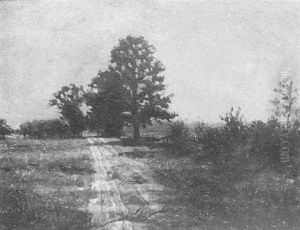 Moonlight Meadow