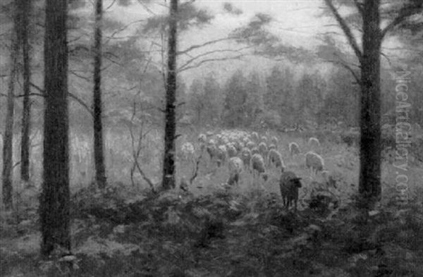 Sheep Grazing - view 1