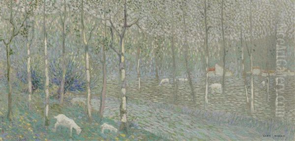 Sheep Grazing Amongst Silver Birches - view 1