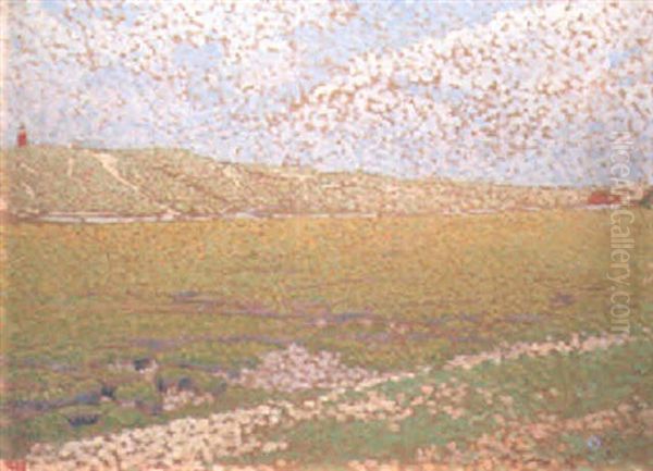 Landscape Near Zoutelande - view 1