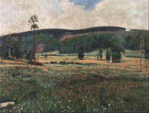 Bl_mige Eifelwiese, Graues Wetter by Ferdinand Hart Nibbrig