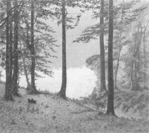 Deer By A Pond In A Forest