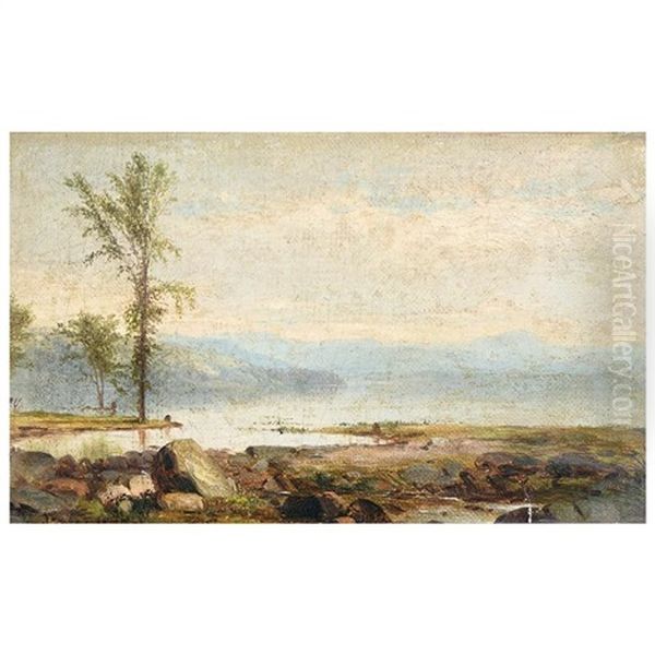 Shore Scene With Single Tree - view 1