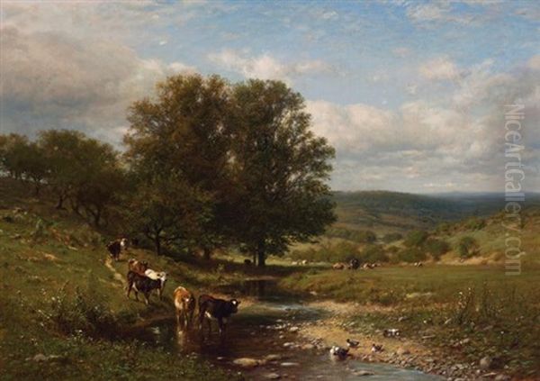 Cattle Fording A Stream - view 1