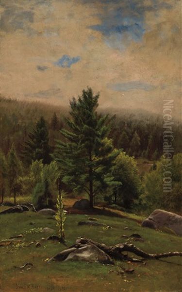 Landscape With Rocks And Trees - view 1