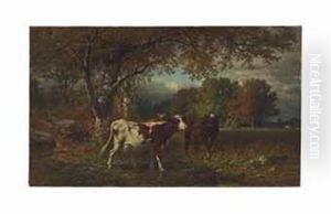 Cows In A Field