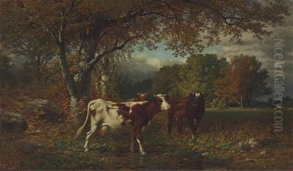 Cows In A Field - view 1