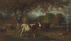 Cows In A Field Cows In A Field