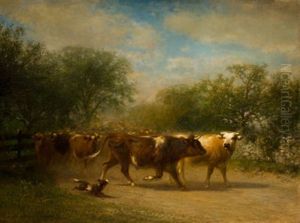 A Herd Of Cattle Along A Country Road A Herd Of Cattle Along A Country Road