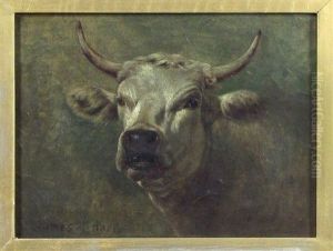 Untitled (portrait Of A Steer) by James McDougal Hart