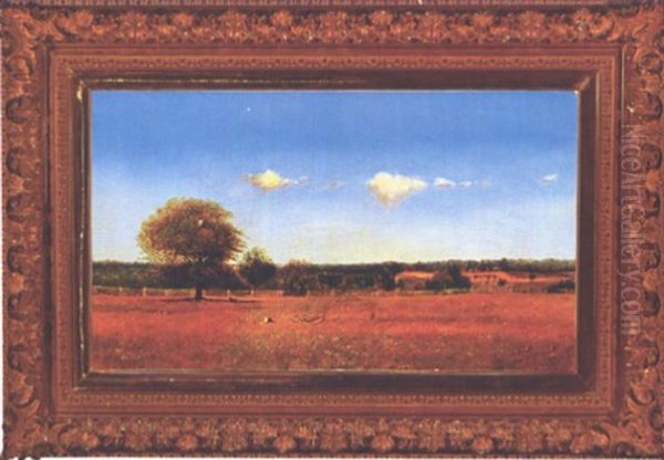 Connecticut Pasture - view 1