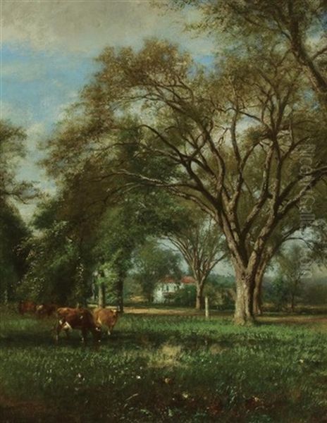 Cattle Watering In A Pasture - view 1