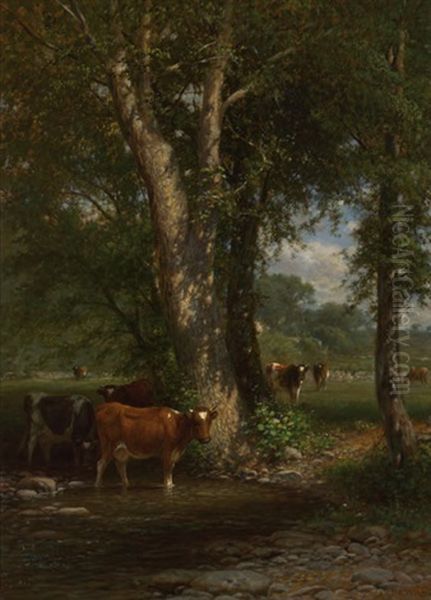 Cattle In A Stream - view 1