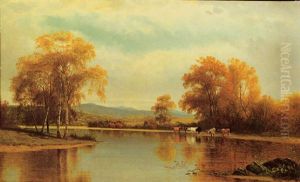 Cattle By A Stream In A Fall Landscape