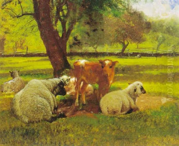 Cows And Sheep Resting In The Shade Of A Tree - view 1