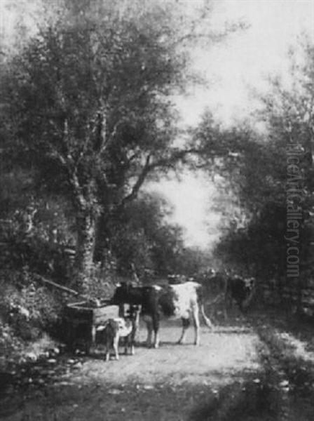 The Water Trough - view 1
