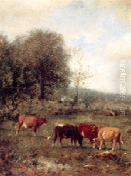 Cows On The Pasture - view 1