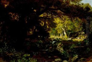 Woodland Interior Woodland Interior