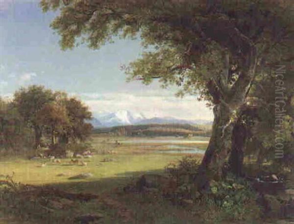 Sheep Grazing In A Spring Valley - view 1