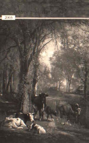 Cows Watering In River - view 1
