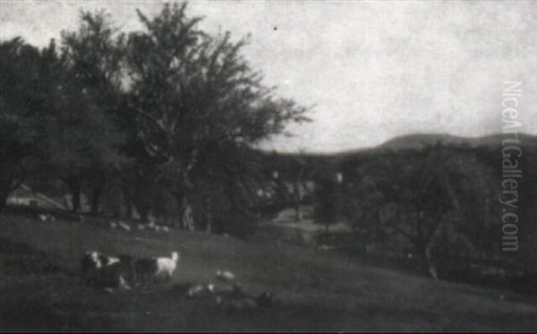 Extensive Landscape - view 1