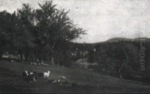 Extensive Landscape Extensive Landscape