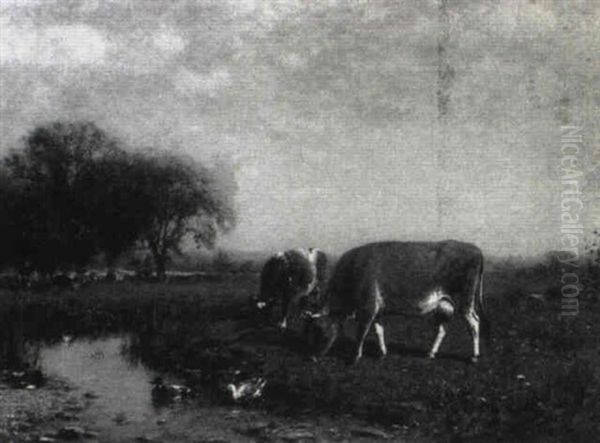 Cows Grazing Near A Pond With Ducks - view 1