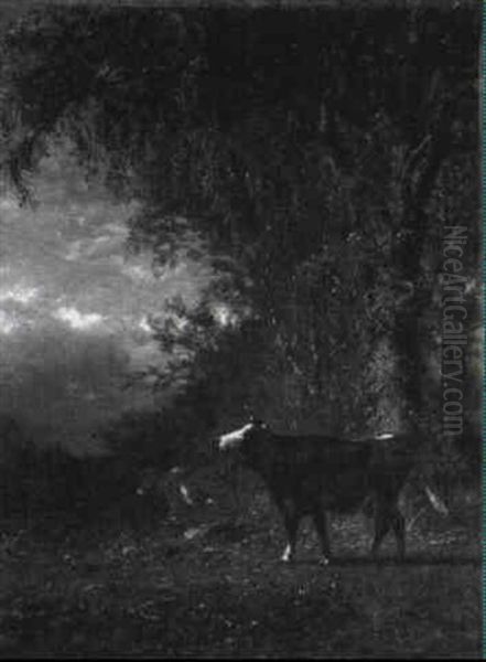 Cows In A Forest Clearing - view 1